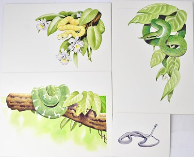 Lot 849 - ANTHONY SMITH (British, contemporary); four...