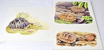 Lot 850 - ANTHONY SMITH (British, contemporary); two...