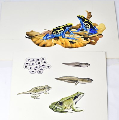 Lot 851 - ANTHONY SMITH (British, contemporary); two...