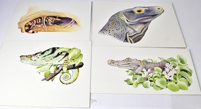 Lot 852 - ANTHONY SMITH (British, contemporary); four...