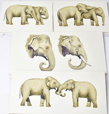 Lot 857 - ANTHONY SMITH (British, contemporary); four...