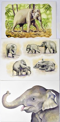 Lot 858 - ANTHONY SMITH (British, contemporary); three...