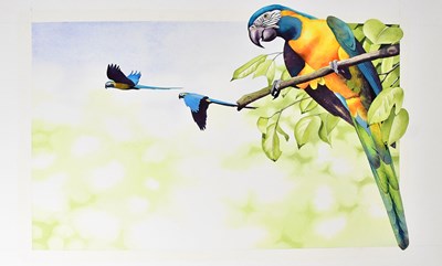 Lot 860 - ANTHONY SMITH (British, contemporary);...