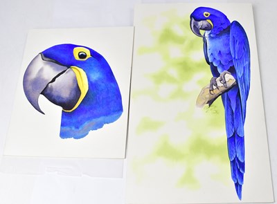 Lot 861 - ANTHONY SMITH (British, contemporary); two...