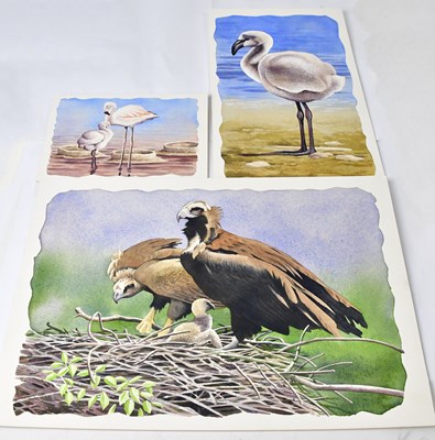 Lot 874 - ANTHONY SMITH (British, contemporary); three...