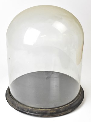 Lot 779 - A Victorian glass dome on ebonised circular...