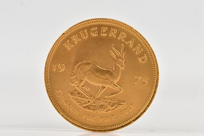 Lot 1004 - A full Krugerrand, 1975, 1oz fine gold.