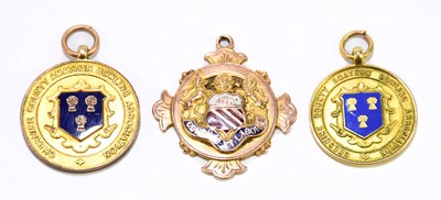 Lot 1452 - Three 9ct gold and enamel medals, two from the...