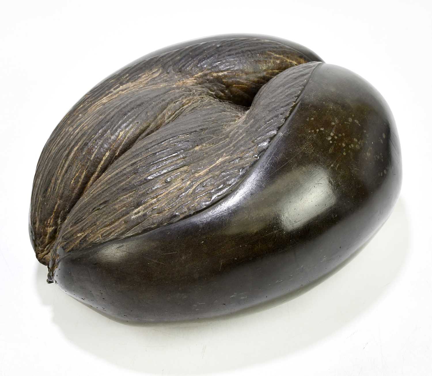 Lot 2415 - An early 20th century Coco de Mer shell,