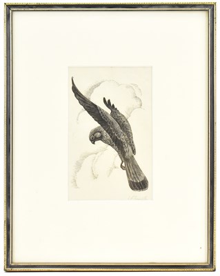 Lot 1728 - CHARLES FREDERICK TUNNICLIFFE OBE, RA...