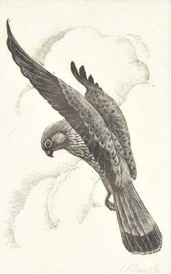 Lot 1728 - CHARLES FREDERICK TUNNICLIFFE OBE, RA...