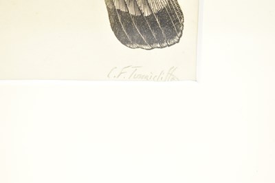 Lot 1728 - CHARLES FREDERICK TUNNICLIFFE OBE, RA...