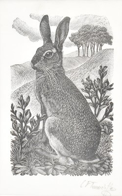 Lot 1725 - CHARLES FREDERICK TUNNICLIFFE OBE, RA...