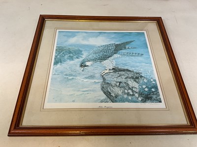 Lot 122 - Three framed and glazed prints of Peregrines