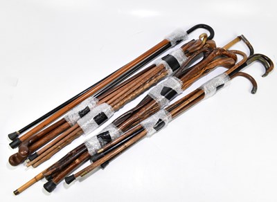 Lot 88 - A large collection of walking sticks and canes