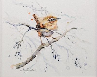 Lot 1819 - AMANDA GORDON; watercolour, 'Tiny Winter Wren',...