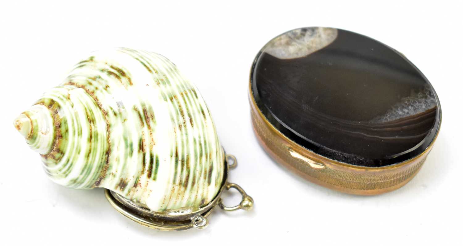 Snuff Box Sea Shells Lot 18 - An early 19th century shell snuff box with