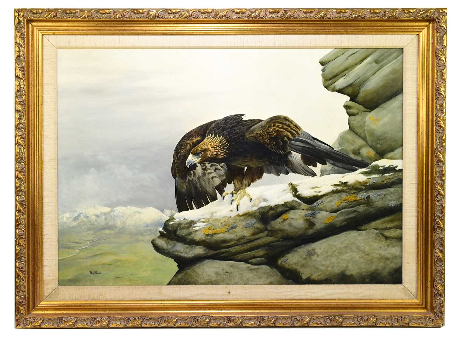 Lot 1659 - REX FLOOD; oil on board, eagle upon a crag...