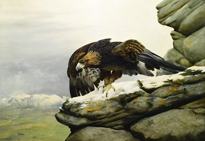 Lot 1659 - REX FLOOD; oil on board, eagle upon a crag...