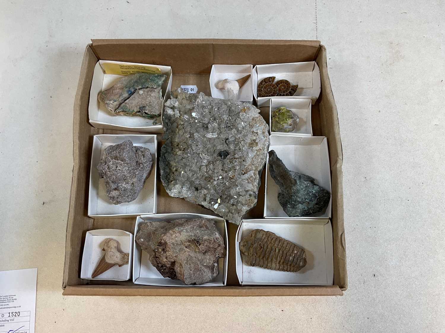 Lot 30 A fossil and stone collection to include