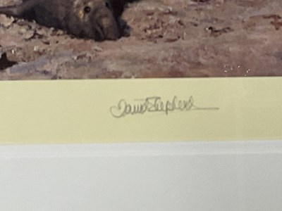 Lot 133 - DAVID SHEPHERD; signed print, 'Elephant Seals',...
