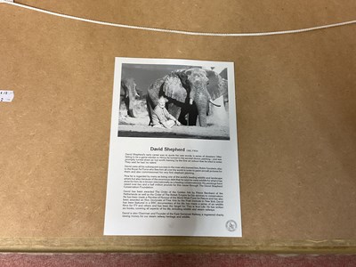 Lot 133 - DAVID SHEPHERD; signed print, 'Elephant Seals',...