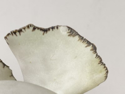 Lot 330 - DEIRDRE BURNETT (1939-2022); a porcelain...