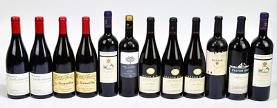 Lot 459 - RED WINE; twelve bottles of mixed red wine...