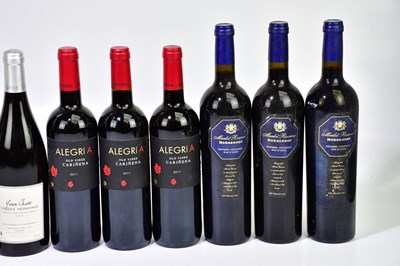 Lot 460 - RED WINE; twelve bottles of mixed red wine...