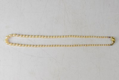 Lot 1167 - A set of graduated cultured pearls, hand tied,...