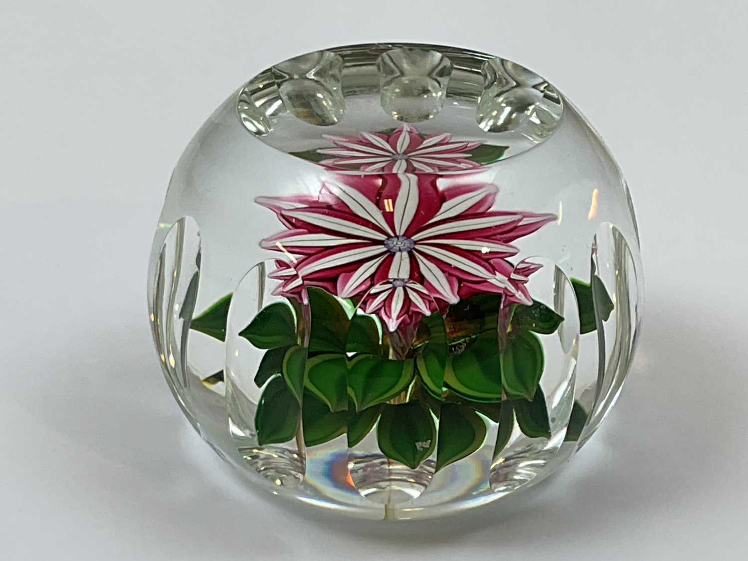 Lot 220 - PERTHSHIRE; a dahlia flower weight with pink