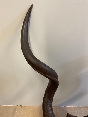 Lot 136 - A pair of mounted Kudo horns, height 110cm,...