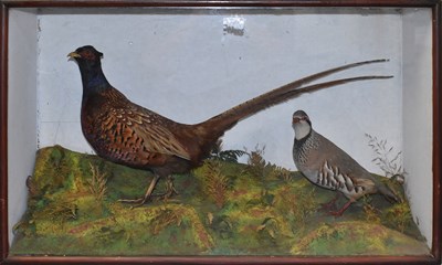 Lot 204 - TAXIDERMY; a stuffed pheasant and partridge,...