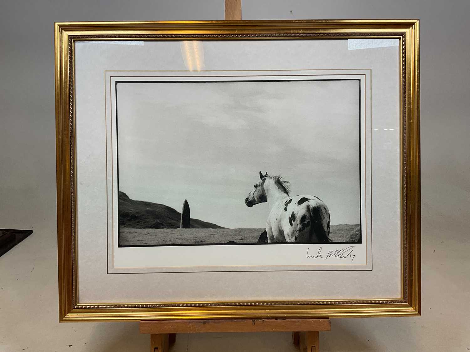Lot 266 - LINDA MCCARTNEY; a signed black and white...
