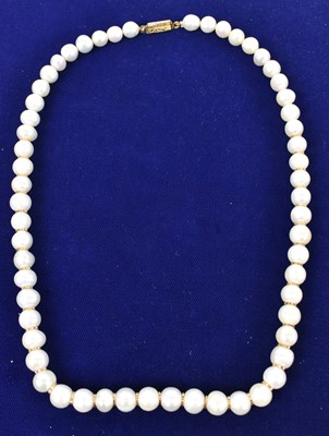 Lot 697 - An Indian hand tied pearl and yellow gold...