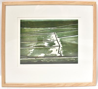 Lot 346 - DAVID HARBAN; limited edition print 'After the...