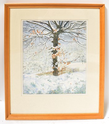 Lot 753 - SYLVIE WATTAS; watercolour, 'Oak Tree in...