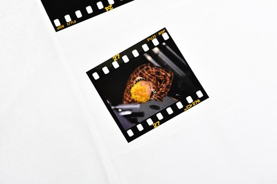 Lot 240 - RAY PALMER; a collection of photographs,...