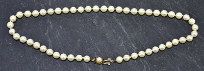 Lot 279 - A row of hand tied cultured pearls with 9ct...