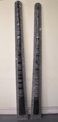 Lot 200 - A near pair of large orthoceras fossils,...