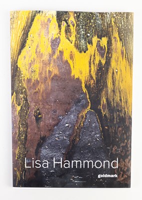 Lot 40 - LISA HAMMOND (born 1956); a soda-glazed...