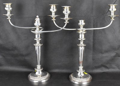 Lot 767 - A pair of tall two-branch candelabra, with...