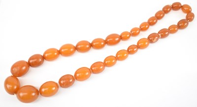 Lot 732 - A butterscotch amber graduated bead necklace,...