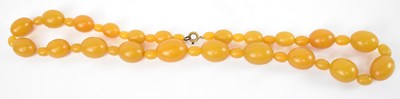 Lot 733 - An egg yolk amber graduated bead necklace, 43.3g.