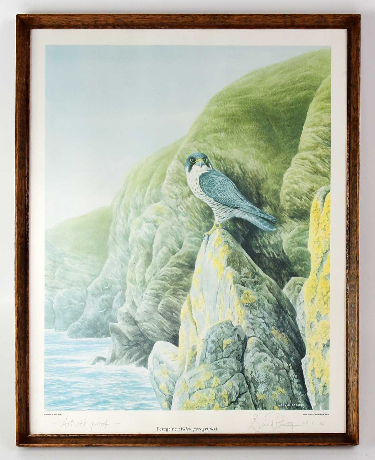 Lot 589 - DAVID PARRY; an artist's proof print of a...