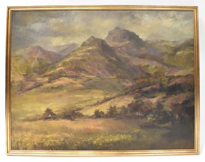 Lot 636 - ELIZABETH WOOD; oil on board, Lake District...