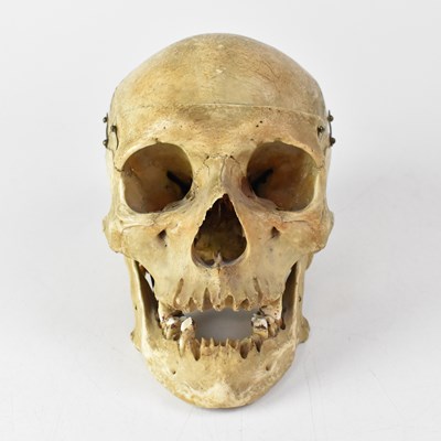 Lot 215 - A boxed strung human skeleton and a further...