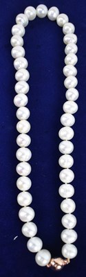 Lot 698 - A string of white freshwater cultured pearls...