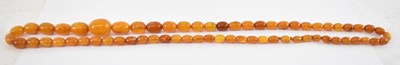 Lot 694 - A butterscotch amber graduated bead necklace,...