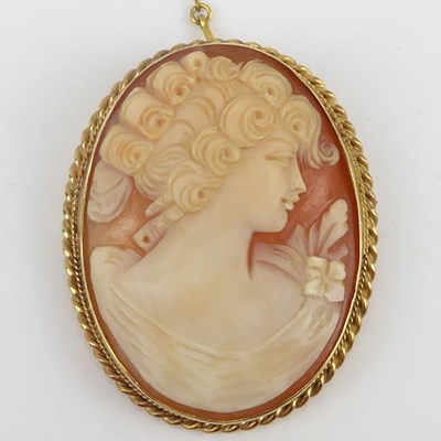 Lot 1048 - A vintage 9ct gold cameo brooch, head and...